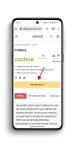 ACCESO WEB