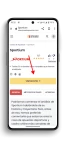 ACCESO WEB