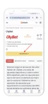 ACCESO WEB